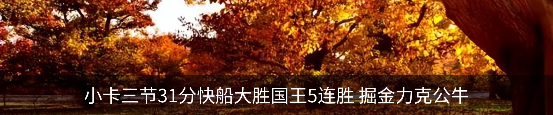 内页banner